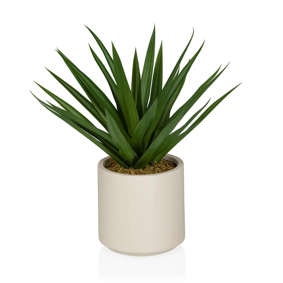 Agave - Kunstpflanze - buerostuhl24