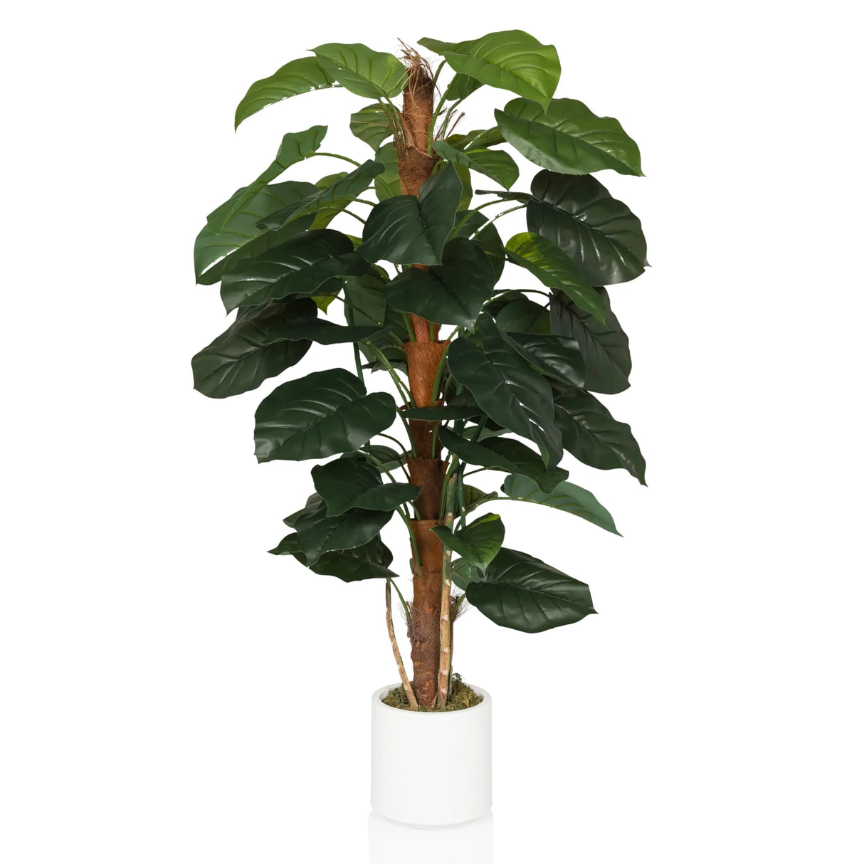 EPIPREMNUM - Kunstpflanze