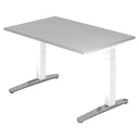 XTRA XB 12 WC | 120x80 | Schreibtisch höhenverstellbar