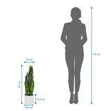 Maßansicht der Kunstpflanze SANSEVIERIA mit einer Höhe von 65 cm neben einer Personen-Silhouette von hjh OFFICE