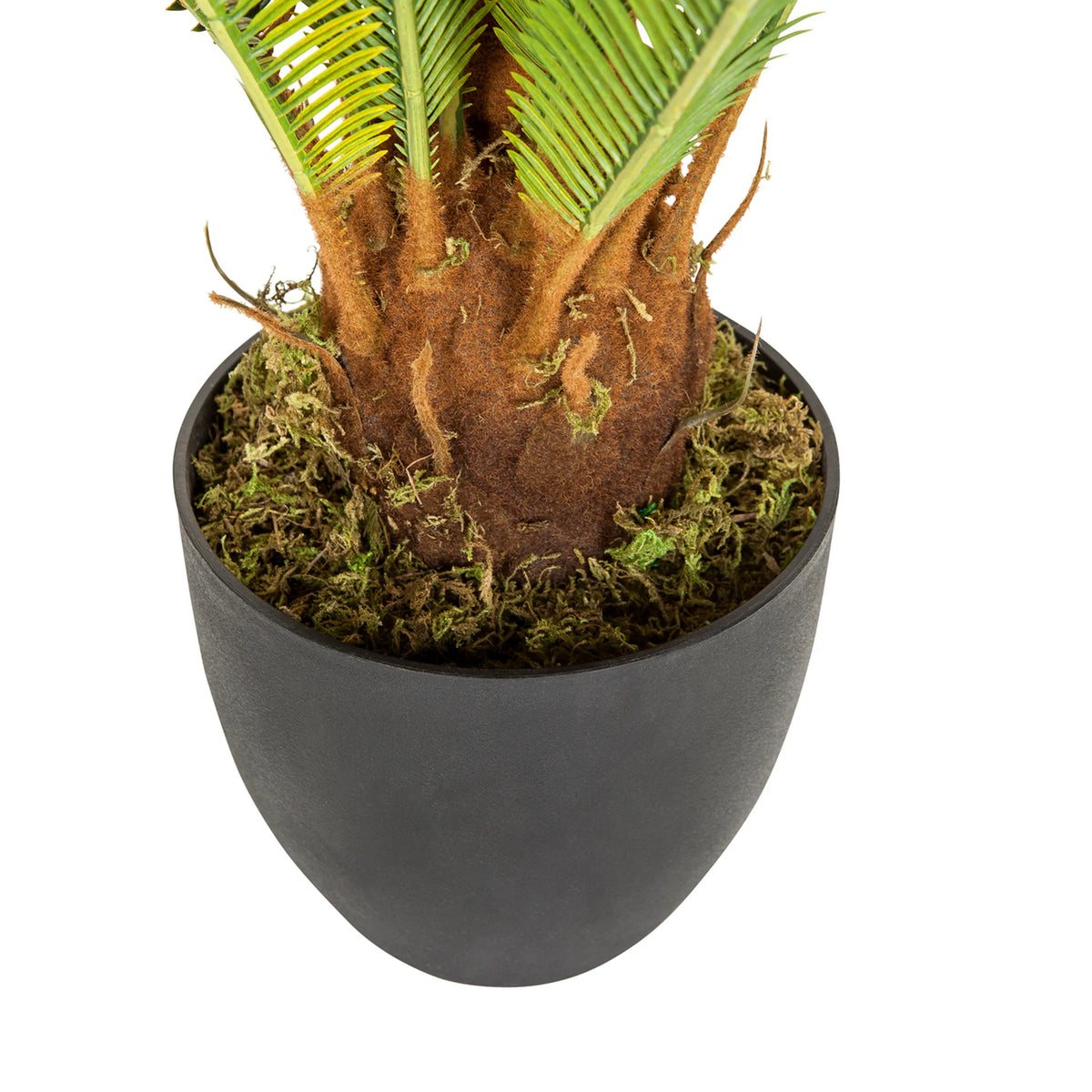 Stamm und schwarzer Übertopf der Kunstpflanze CYCAS von hjh OFFICE