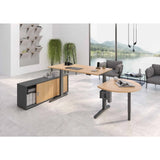 Elektrisch höhenverstellbarer Schreibtisch XBHM 16 GG in Asteiche mit Sideboard von hjh OFFICE PRO