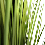 Grüne Blätter der Kunstpflanze CORTADERIA von hjh OFFICE
