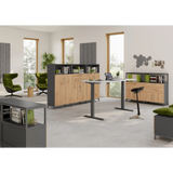 Korpus der Serie FlexWall in Graphit mit Holzfronten und Stellfüßen von hjh OFFICE PRO