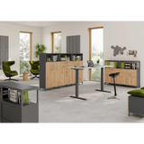 Drei Korpusse der Serie FlexWall in Graphit mit Stellfüßen und Holzelementen von hjh OFFICE PRO