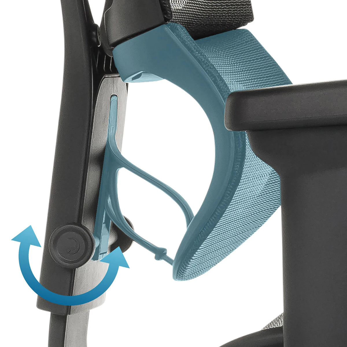 Verstellbare blaue Netz-Rückenlehne des Luxus-Chefsessels ERGOHUMAN SLIM ECO M GEN2 von hjh OFFICE
