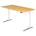 XBHM 2E WC | 200x100 | Schreibtisch elektrisch höhenverstellbar
