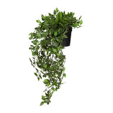 Epipremnum Climb - Kunstpflanze