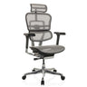ERGOHUMAN GEN2 | Netz - Luxus Chefsessel - buerostuhl24