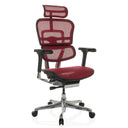 ERGOHUMAN GEN2 | Netz - Luxus Chefsessel - buerostuhl24