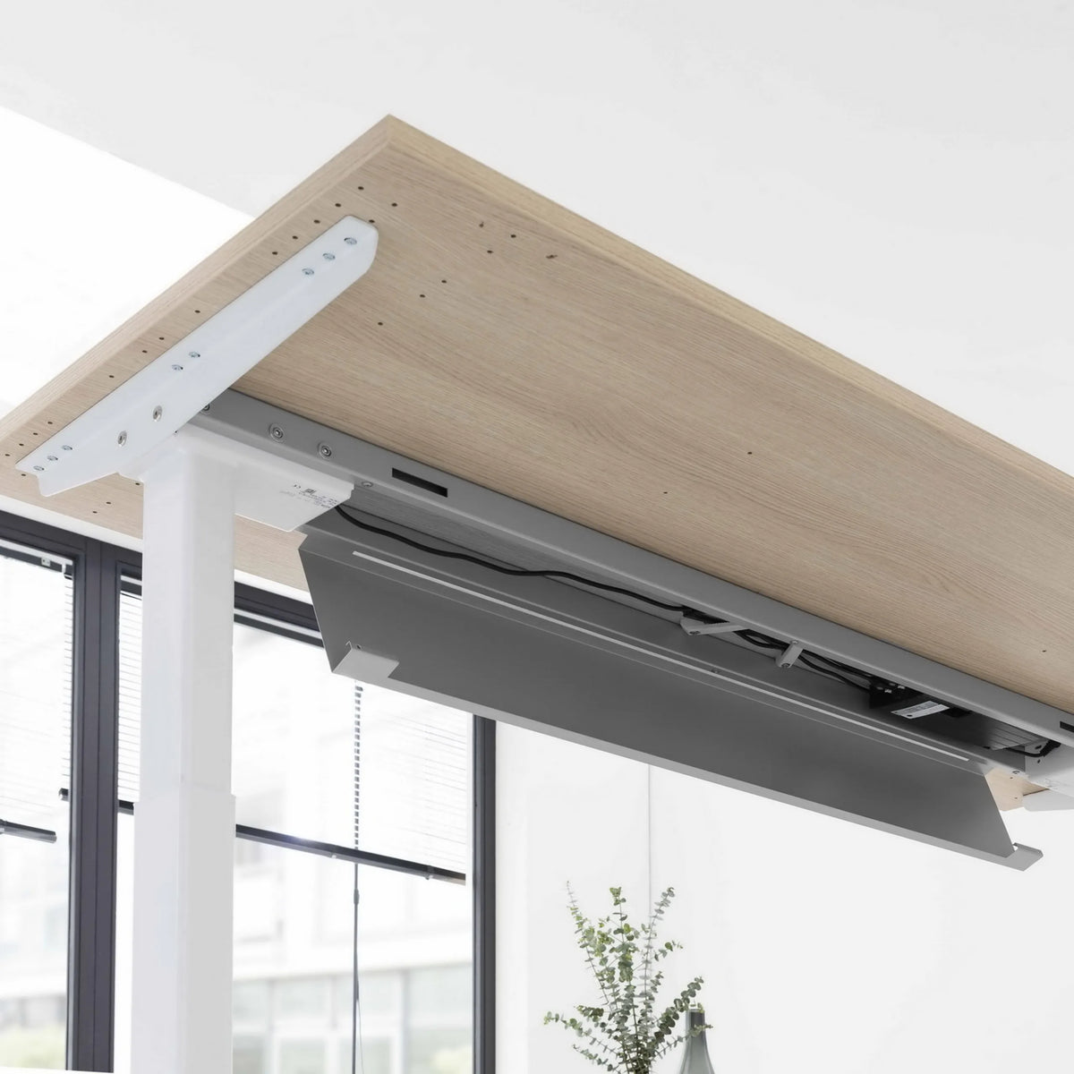 Unterkonstruktion und Tischplatte in Asteiche des Schreibtisches XBHM 16 GC von hjh OFFICE PRO