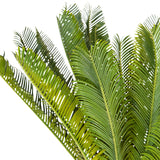 Grüne Blätter der Kunstpflanze CYCAS von hjh OFFICE