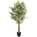 Kunstpflanze FICUS mit grün-weiß panaschierten Blättern in einem schwarzen Topf von hjh OFFICE