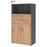 Aktenschrank FlexWall in Graphit und Asteiche mit zwei Schubladen, einem Fach und Türen von hjh OFFICE PRO