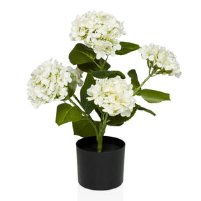 Kunstpflanze HYDRANGEA mit weißen Blüten, grünen Blättern und schwarzem Übertopf von hjh OFFICE