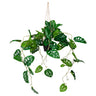 Grüne Kunstpflanze MONSTERA CLIMB als hängende Pflanze mit durchbrochenen Blättern von hjh OFFICE