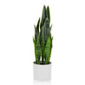 Kunstpflanze SANSEVIERIA in Grün mit langen Blättern in einem weißen Übertopf von hjh OFFICE