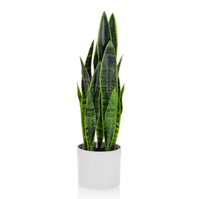 Kunstpflanze SANSEVIERIA in Grün mit langen Blättern in einem weißen Übertopf von hjh OFFICE