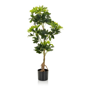 SCHEFFLERA - Kunstpflanze - buerostuhl24