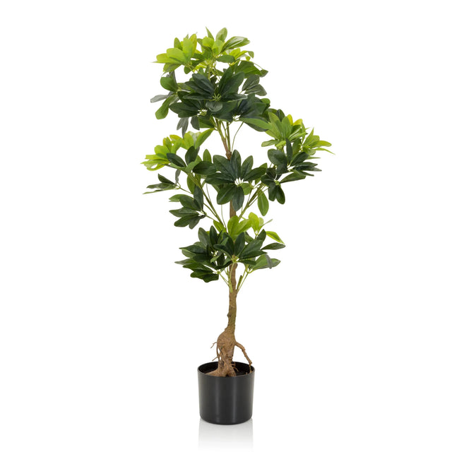 SCHEFFLERA - Kunstpflanze - buerostuhl24