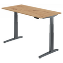 XBHM 16 GG | 160x80 | Schreibtisch elektrisch höhenverstellbar