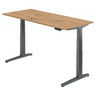 XBHM 19 GG | 180x80 | Schreibtisch elektrisch höhenverstellbar - buerostuhl24