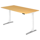XBHM 2E WC | 200x100 | Schreibtisch elektrisch höhenverstellbar