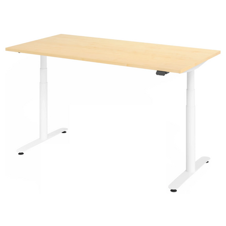 Elektrisch höhenverstellbarer Schreibtisch XDLR 16 W in Ahorn mit weißem Gestell von hjh OFFICE PRO