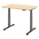 XDSM 12 G | 120x80 | Schreibtisch elektrisch höhenverstellbar
