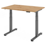 XDSM 12 G | 120x80 | Schreibtisch elektrisch höhenverstellbar - buerostuhl24