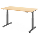 XDSM 16 G | 160x80 | Schreibtisch elektrisch höhenverstellbar - buerostuhl24