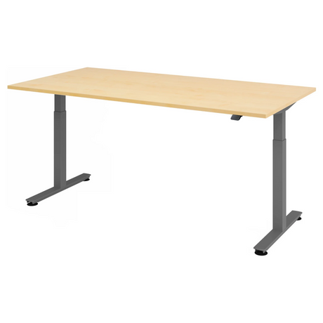 XMST 2E G | 200x100 | Schreibtisch elektrisch höhenverstellbar - buerostuhl24