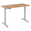 XMST 614 S | 140x67 | elektrisch höhenverstellbar